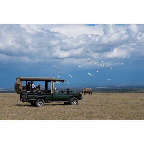 Hopkins, Cindy Miller 아티스트의 Africa-Kenya-Ol Pejeta Conservancy-Safari jeep with Southern white rhinoceros-Ceratotherium simum작품입니다.
